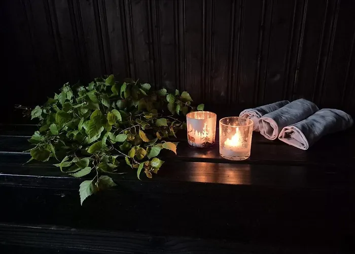 Small Daire Toholampi